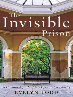 cover image of The Invisible Prison